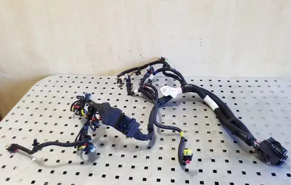 Tesla Model 3 Other wiring loom 206876700C