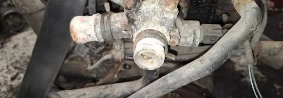 Engine coolant pipe/hose