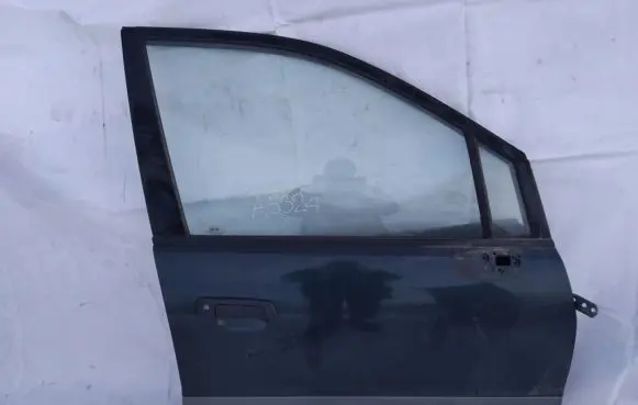 Mitsubishi Space Wagon Front door