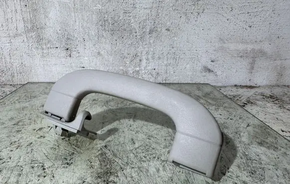 Mercedes-Benz B W245 Front interior roof grab handle A1698100251