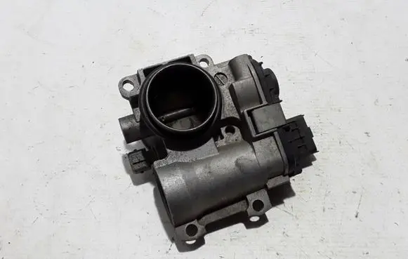 Renault Clio II Throttle valve 8200166869