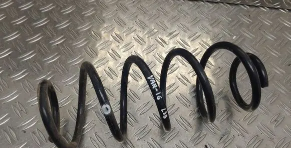 Rear coil spring