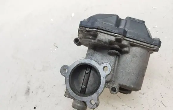 EGR valve