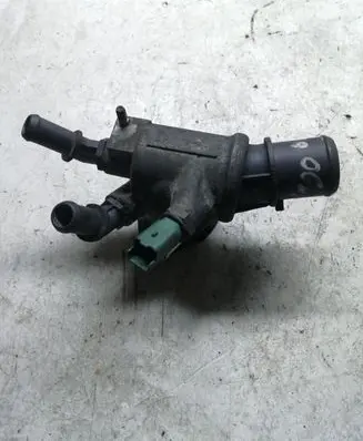 Thermostat/thermostat housing
