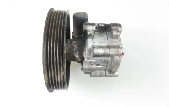 Dacia Duster Power steering pump