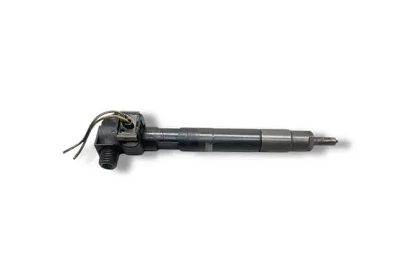 Mercedes-Benz Sprinter W906 Fuel injector 28307309 A6510703087