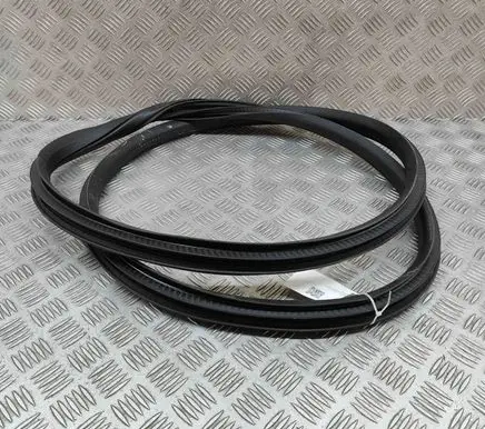 Jaguar I-Pace Rubber seal rear door J9D3253A11A