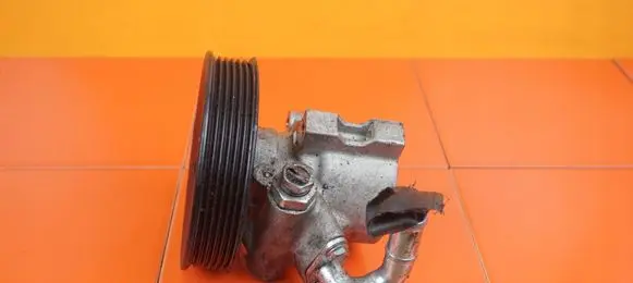 Opel Antara Power steering pump Z22D1