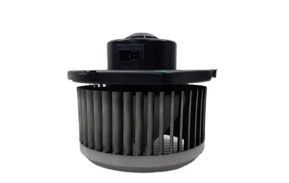 Renault Laguna III Front door blower motor 8400004