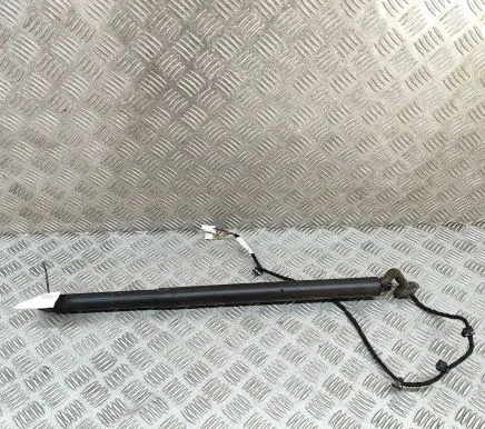 Tailgate/trunk strut/damper
