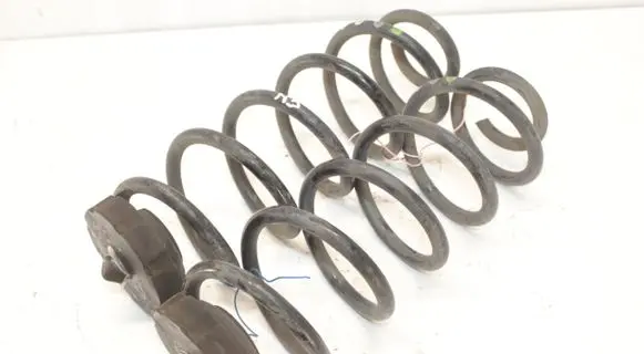 Rear coil spring
