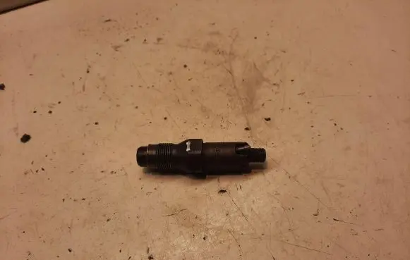 Peugeot Partner Fuel injector LCR6736001
