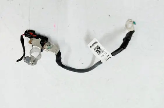 Chery Omoda 5/C5 Negative earth cable (battery) 807000033AA