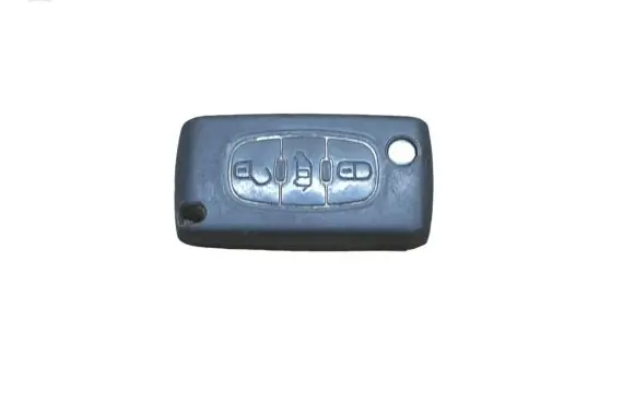 Citroen Berlingo Ignition key/card 