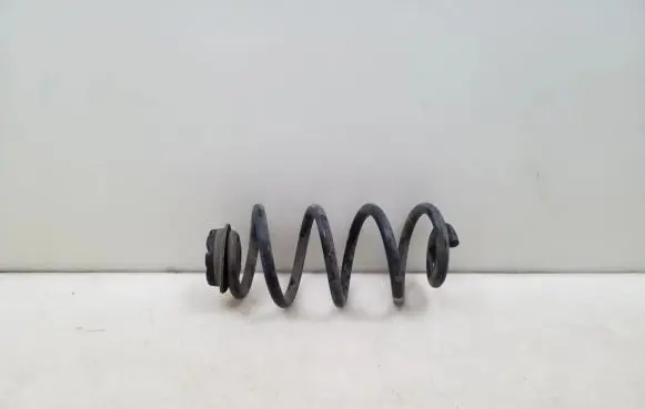 Nissan Qashqai Rear coil spring