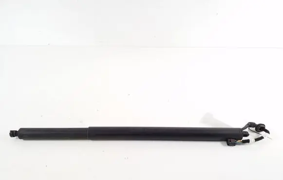 Tailgate strut