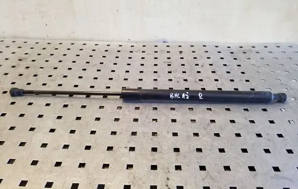 Renault Scenic III - Grand scenic III Tailgate/trunk strut/damper 904500004R