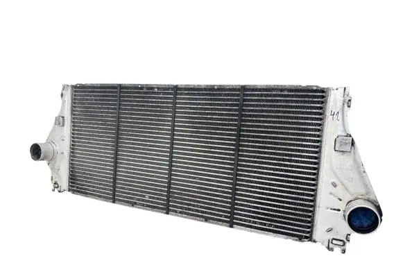 Renault Laguna II Intercooler radiator 8200008761C