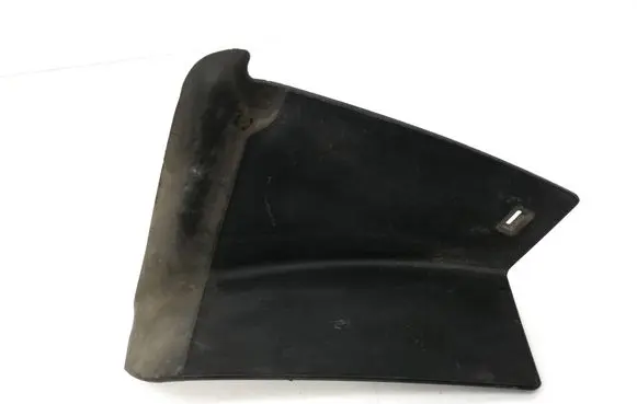 Rear/tail light trim molding