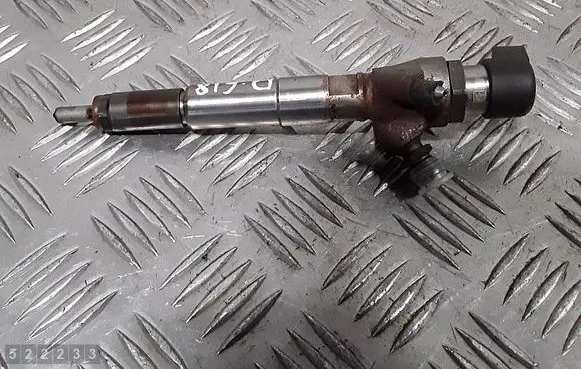 Dacia Duster Fuel injector H8200704191 166008052R
