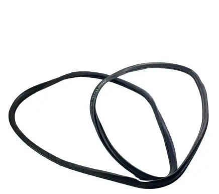 Nissan Rogue Front door rubber seal