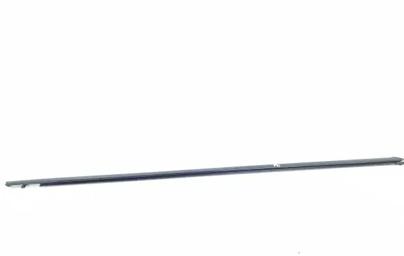Citroen DS5 Front door glass trim molding
