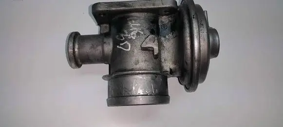 EGR valve