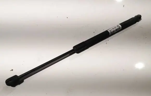 Tailgate/trunk strut/damper