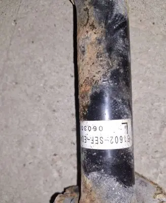 Honda Accord Front shock absorber with coil spring