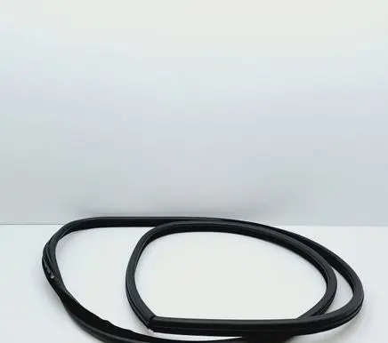 BMW 3 E46 Front door rubber seal 8194681