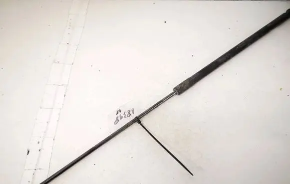 Volvo C30 Front bonnet/hood damper/strut 31218478