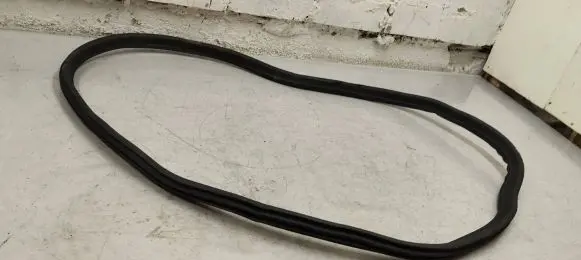 BMW i4 Rear door rubber seal (on body) 7482947