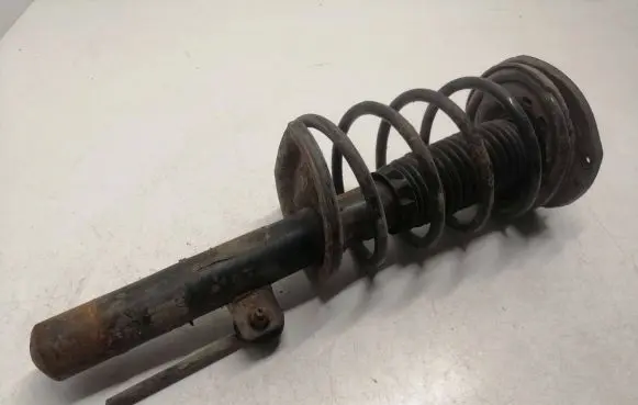 Peugeot 206 Front shock absorber with coil spring