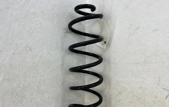 Rear coil spring