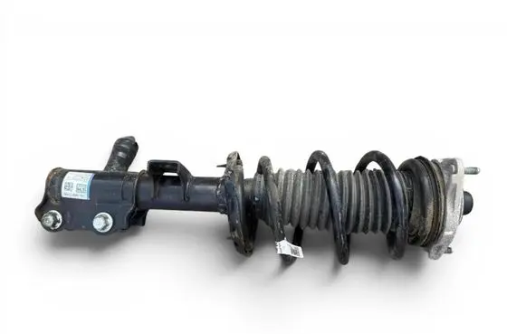 KIA EV6 Front shock absorber with coil spring 54650CVAB0