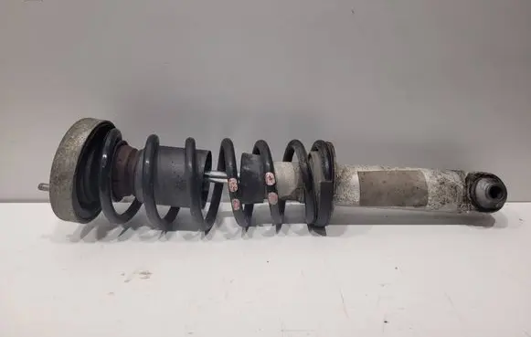 Rear shock absorber/damper