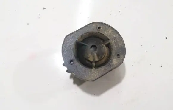 Renault Espace - Grand espace IV Front door speaker 8200069125A