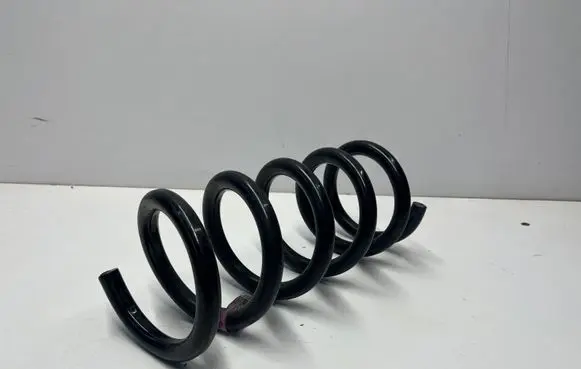 Ford Mustang VI Rear coil spring JR3C5560UB