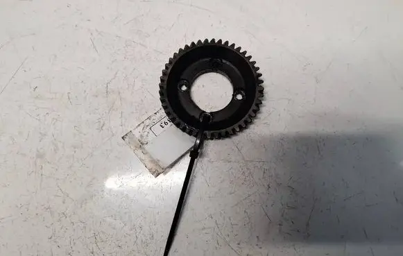 Chrysler Voyager Camshaft pulley/ VANOS 