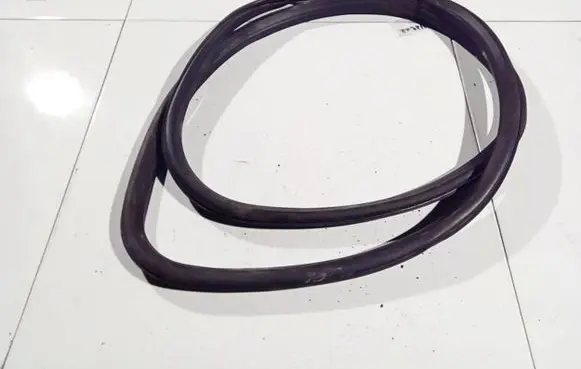 Opel Insignia A Rubber seal front coupe door 