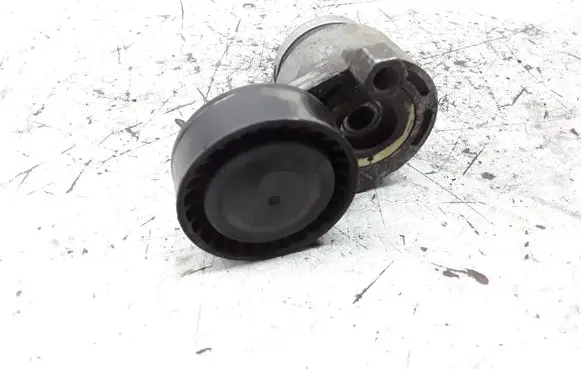 Renault Kangoo I Generator/alternator belt tensioner 