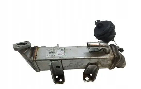 Renault Koleos I EGR valve cooler 8200719993D