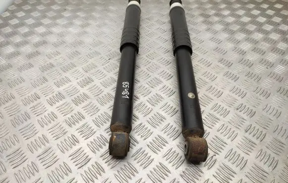 Renault Zoe Rear shock absorber/damper 562108289R