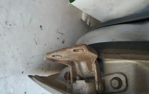 KIA Rio Rear door lower hinge