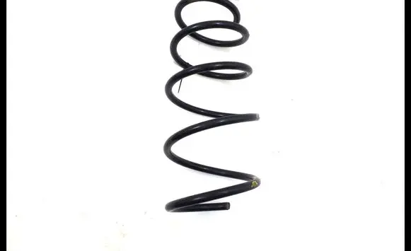 Front coil spring