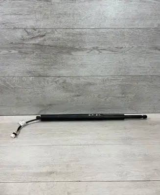 Tailgate strut