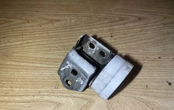 Rear door lower hinge