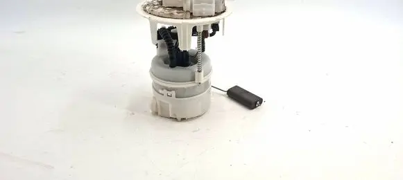 Citroen C4 II Picasso In-tank fuel pump 