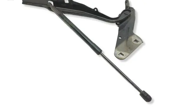 Ram 1500 Engine bonnet/hood hinges 