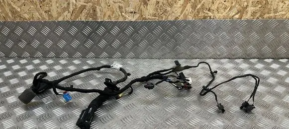 Audi A8 S8 D5 Front door wiring loom 4N0971030 4N0971030AN